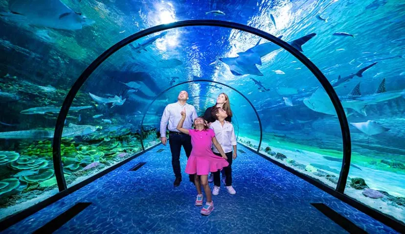 Dubai Aquarium and Underwater Zoo